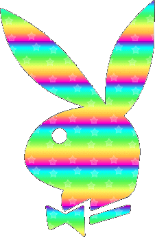 fashion playboy
